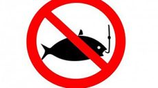 Погубил рыбы более чем на 100 тыс. грн: в Печенегах поймали браконьера