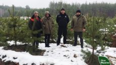 Ліси Харківщини взялися прочісувати патрулі