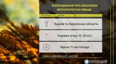На Харківщині завтра очікується сильний вітер. Попередження синоптиків