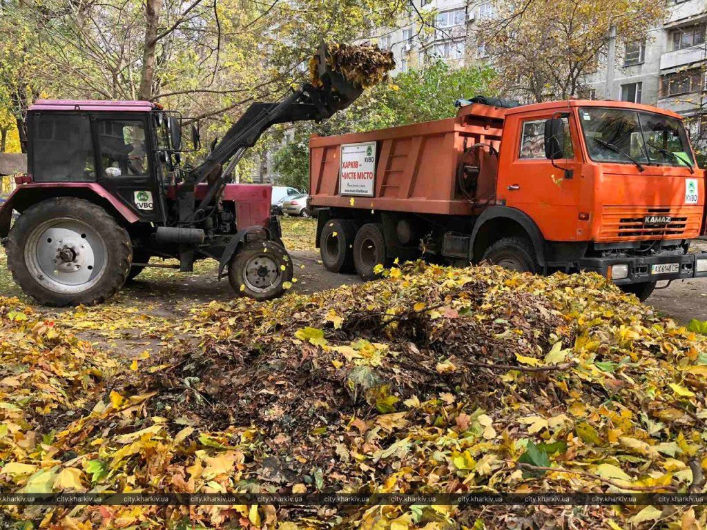 Из Харькова вывезли более 70% опавших листьев (фото)