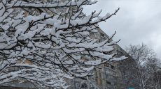 Головні новини Харкова 27.11: негода і знеструмлення, фронт, новорічні ялинки