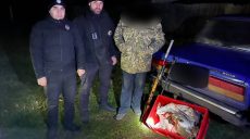 Двоих браконьеров, которые застрелили двоих зайцев, поймали на Харьковщине