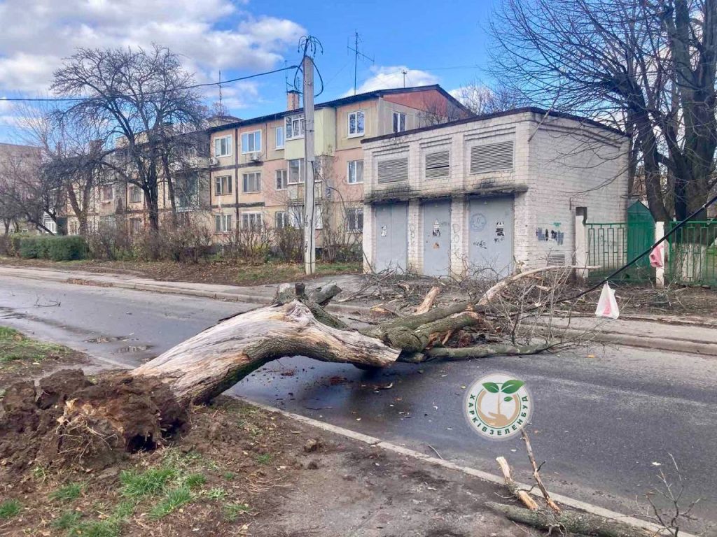 Сильний вітер пошкодив 27 дахів та повалив 13 дерев у Харкові