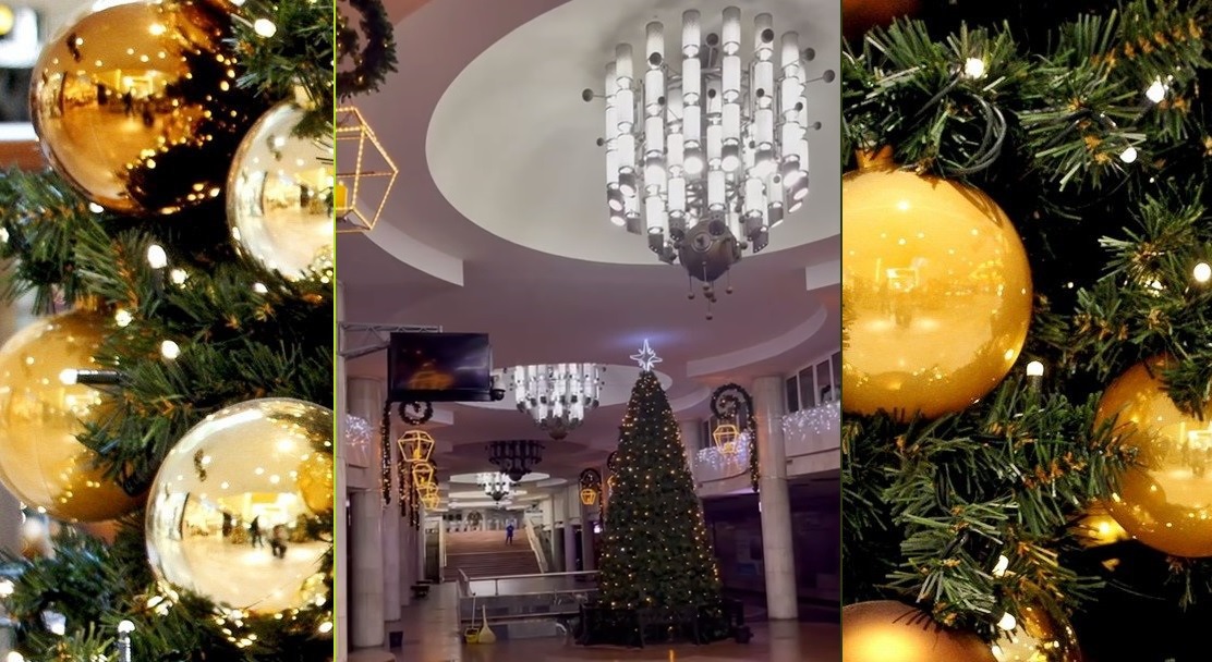 В Харькове установили новогоднюю елку (видео)