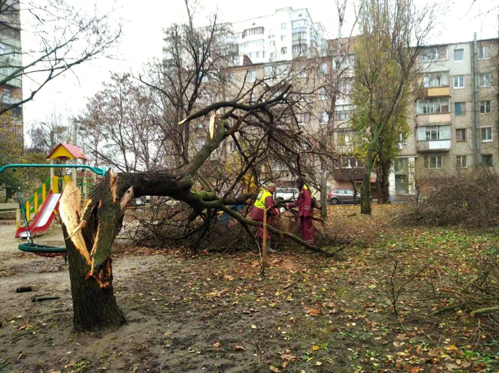 Наслідки вітру в Харкові: повалені дерева й пошкоджені дахи (оновлено)
