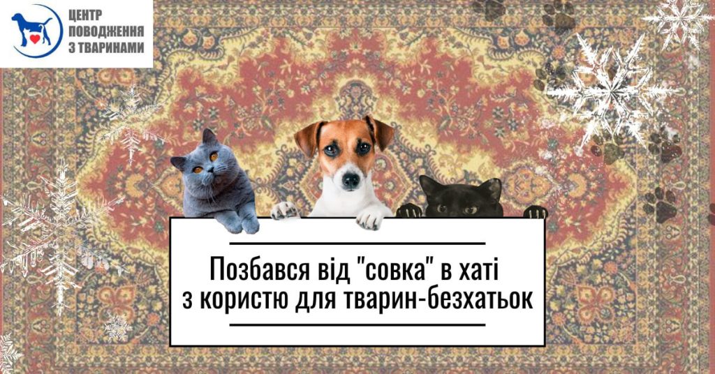 У Харкові просять містян приносити килими для утеплення вольєрів для тварин