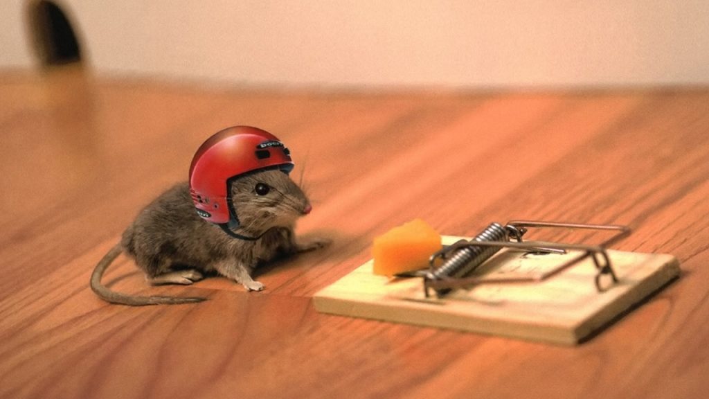 Миші конкурують з окупантами. Як харківські бійці ЗСУ борються з гризунами