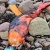 Странное оранжевое существо выбросила вода на берег озера в Великобритании