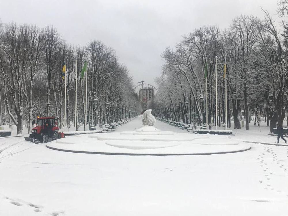 Центральный парк в снегу