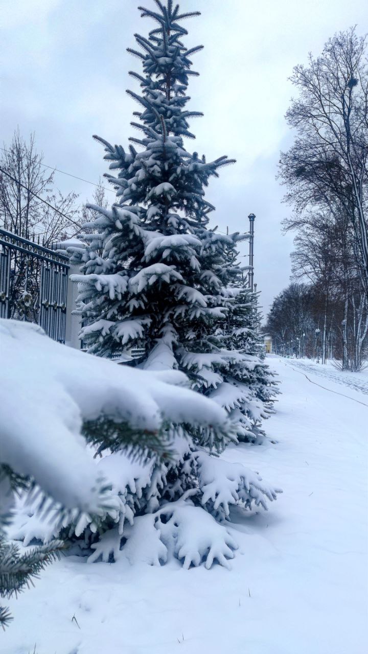 Гололедица и мороз. Какая будет погода 21 ноября в Харькове и области