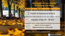 Метеорологи предупреждают о порывах сильного ветра на Харьковщине 12 ноября