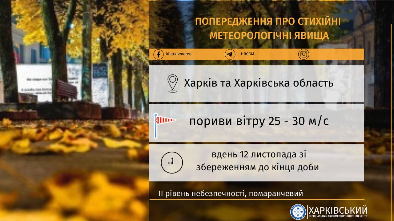 Метеорологи попереджають про пориви сильного вітру на Харківщині 12 листопада
