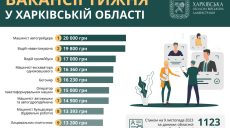 Робота в Харкові та області: вакансії тижня із зарплатою до 20 тис. грн