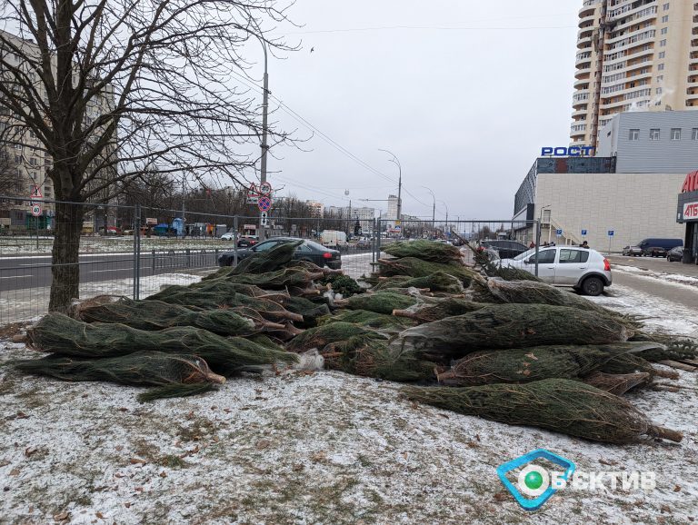 На Харьковщине стартуют рейды по елочным базарам: какие штрафы