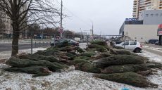 На Харківщині стартують рейди по ялинкових базарах: які штрафи