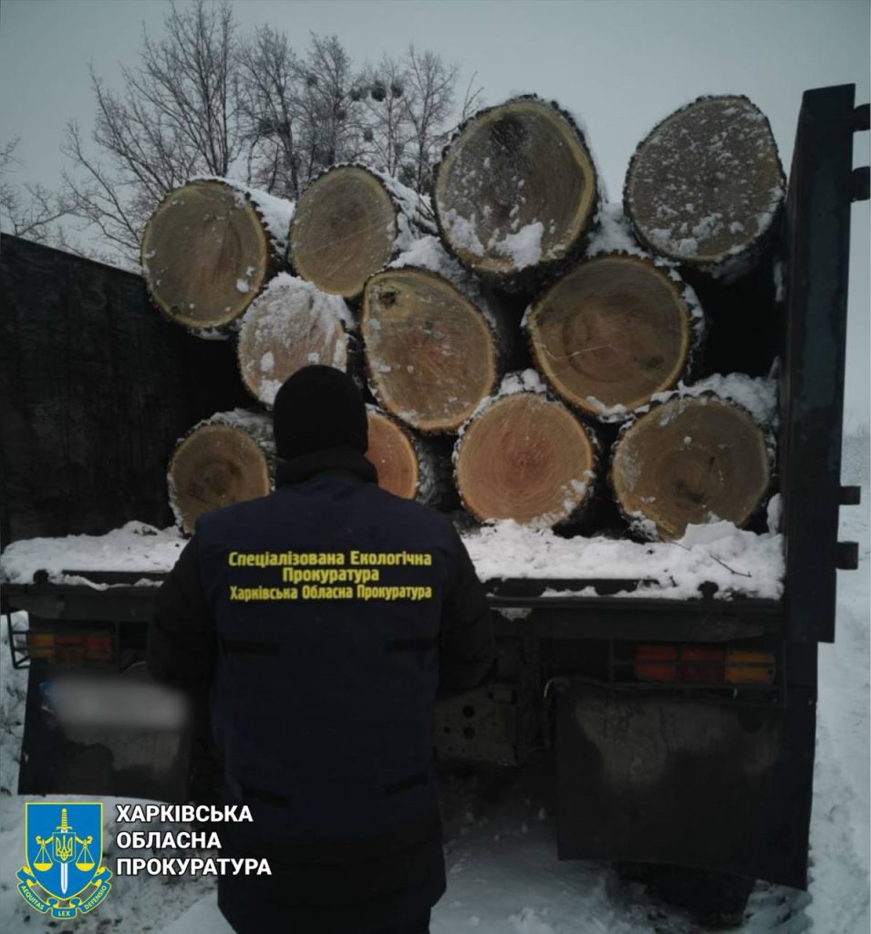Миллион гривен и тысячи долларов: обыски у «черных лесорубов» на Харьковщине