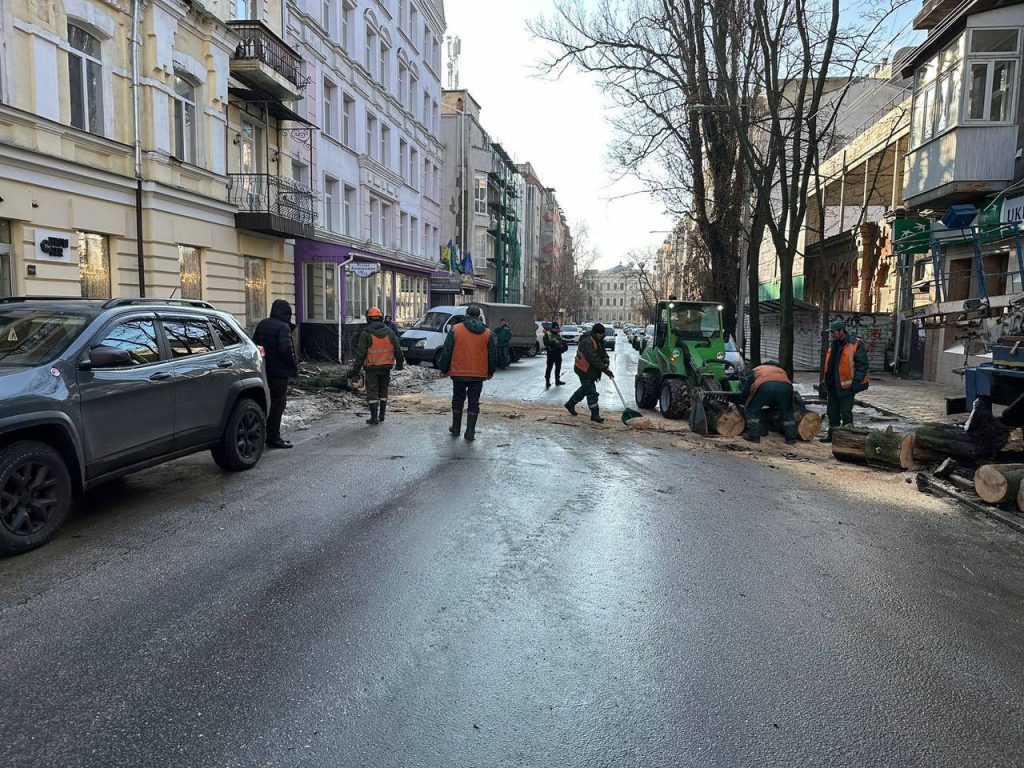 В Харькове дерево упало на проезжую часть (фото)