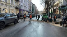 В Харькове дерево упало на проезжую часть (фото)
