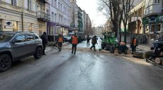 У Харкові дерево впало на проїжджу частину (фото)