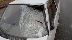 Перебегала не по «зебре»: в Харькове под колесами авто погибла женщина