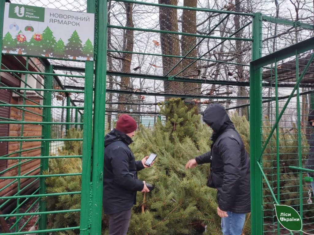 Чтобы купить елку, наличные не нужны — нововведение в лесхозах Харьковщины