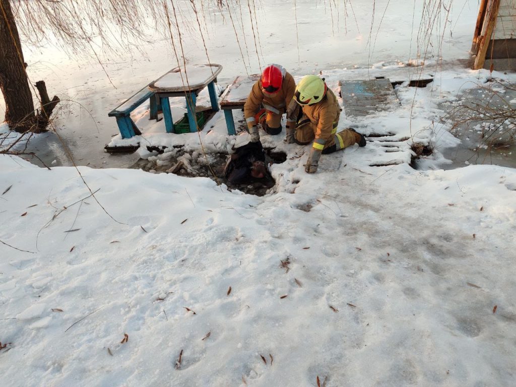 Тело погибшего вытащили из пруда под Харьковом