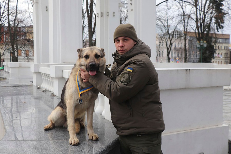 Пухнасті нацгвардійці отримали медалі за службу на в’їздах до Харкова (фото)