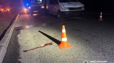 В Харькове водитель микроавтобуса насмерть сбил пешехода (фото)