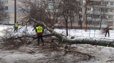 Циклон пришел на Харьковщину: в ближайшее время будет сильный ураган