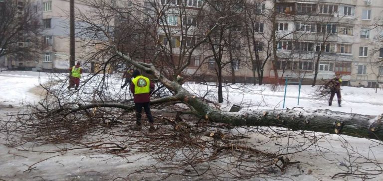 Циклон пришел на Харьковщину: в ближайшее время будет сильный ураган