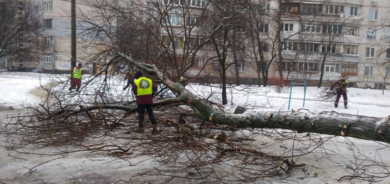 Циклон пришел на Харьковщину: в ближайшее время будет сильный ураган