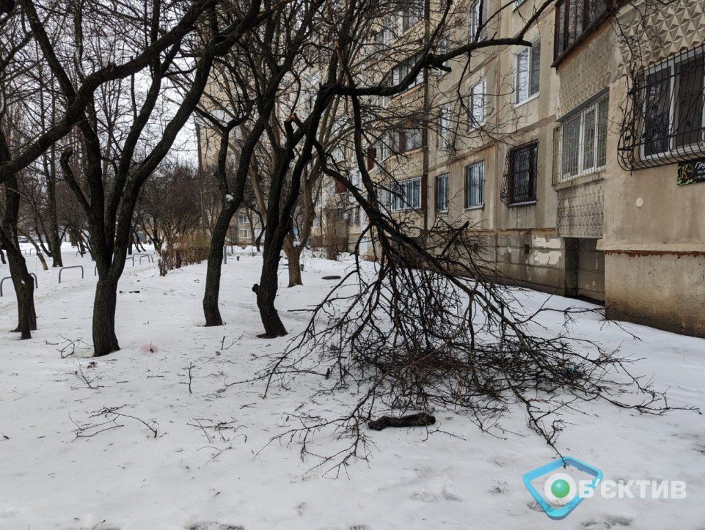Сильный ветер повалил более 30 деревьев и 170 веток в Харькове (фото)