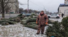 У продавців ялинок у Харкові мають бути лінійки – поліція