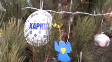 Містам-героям: у Кропивницькому присвятили ялинку Харкову (відео)