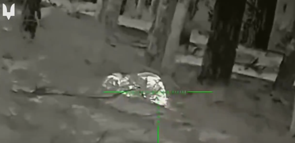 Снайпери ССО знищили саперів РФ, які мінували ліс під Куп’янськом (відео)