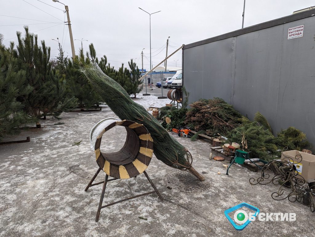 Елочные базары открылись в Харькове: цены на все виды и высоты хвойных (видео)