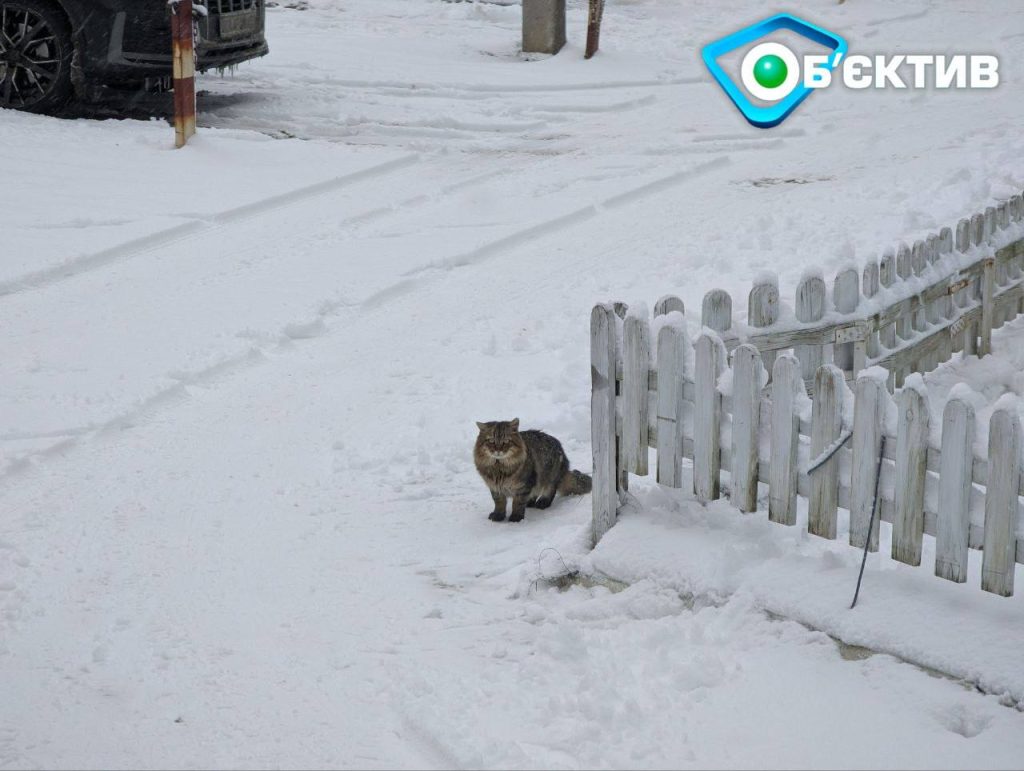 Харків засипало снігом: як борються комунальники, який вигляд мають вулиці
