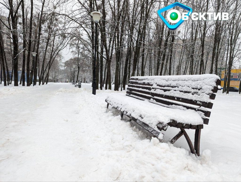 Завтра частину Харківщини засипле снігом: попередження синоптиків