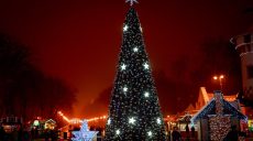 Ялинка просто неба: що відбувалося у Харкові 5 років тому (фото)