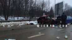 Дві людини загинули в ДТП на окружній Харкова (відео)