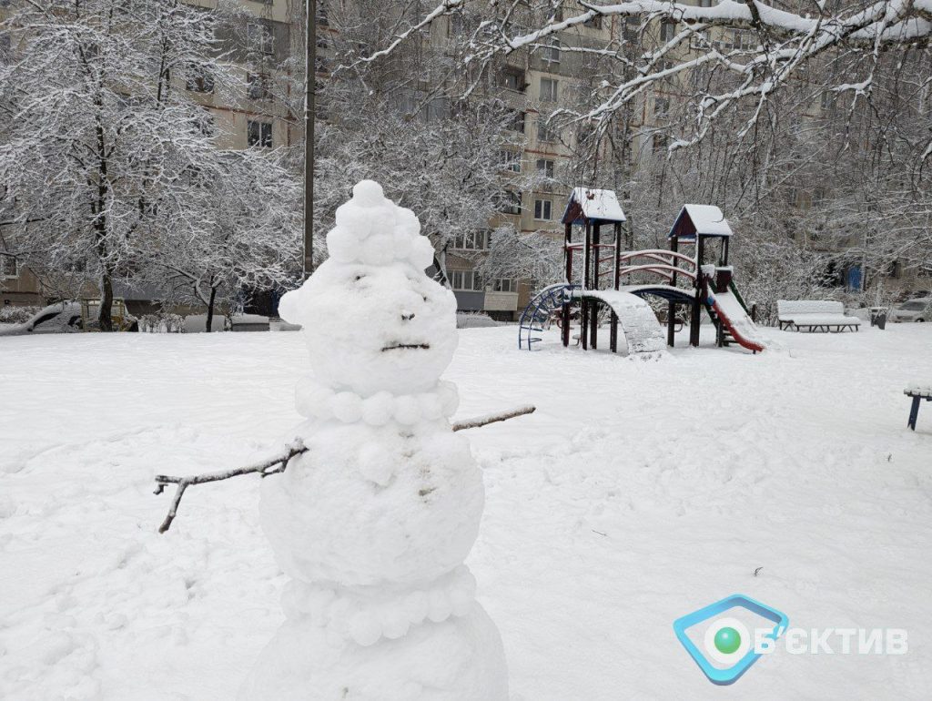 Морозы немного спадут, будет снежить: погода в Харькове и области на 14 января