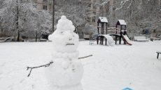 Морози трохи спадуть, сніжитиме: погода в Харкові та області на 14 січня