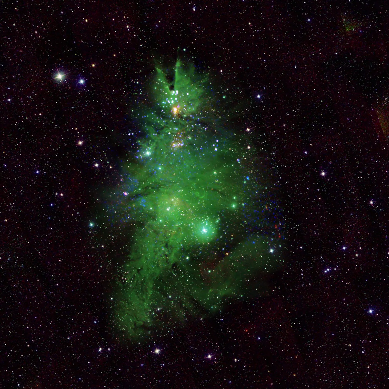 Скопление звезд в форме рождественской елки зафиксировало NASA (видео)
