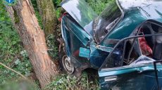 П’яним в’їхав у дерево і загинув пасажир: на Харківщині засудили водія