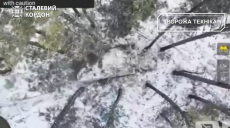 FPV-дрони вдарили по техніці та позиціях окупантів на Харківщині (відео)