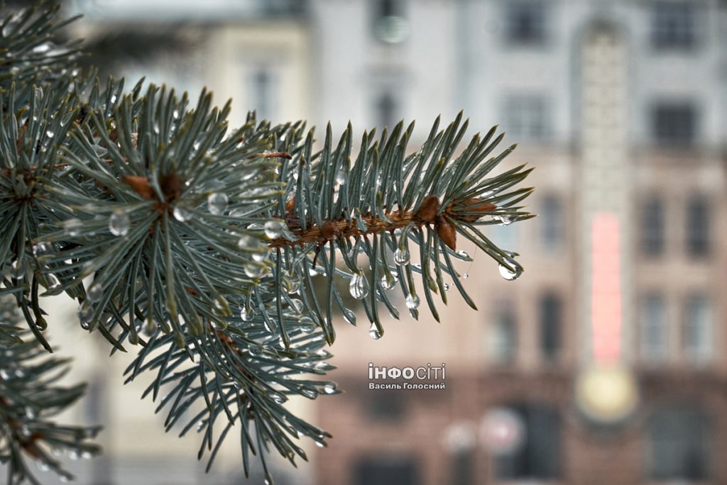 До 11 тепла, дождь и туман: прогноз погоды в Харькове и области на 12 февраля