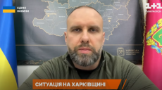 Як часто заходять російські ДРГ на Харківщину: дані Синєгубова