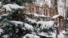 Мокрий сніг і ожеледь. Якою буде погода 16 січня у Харкові та області