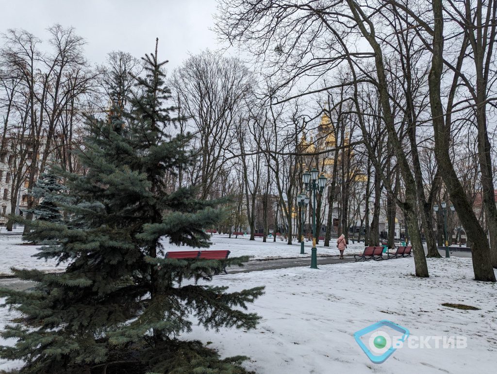 Ночью мороз, днем — «плюс»: прогноз погоды в Харькове и области на 31 января