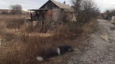 Є загиблий: на Новий рік війська РФ били по Харківщині та скинули авіабомбу